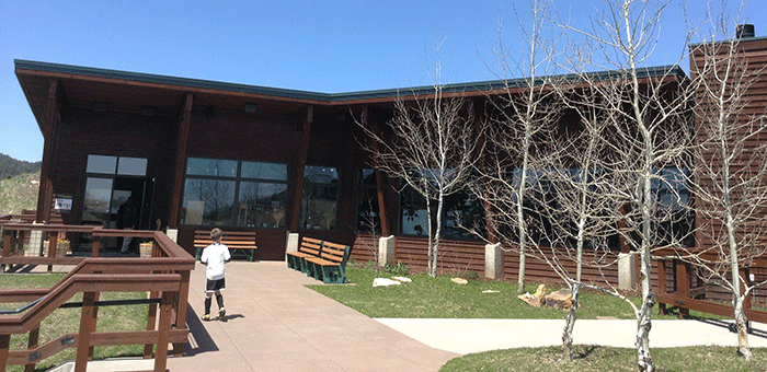 Tatanka Story of the Bison