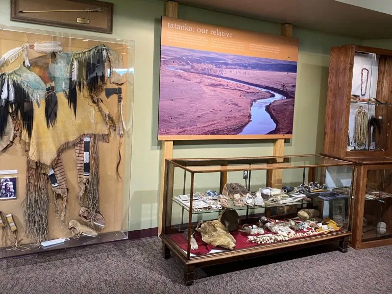 Shop Tatanka Story of the Bison